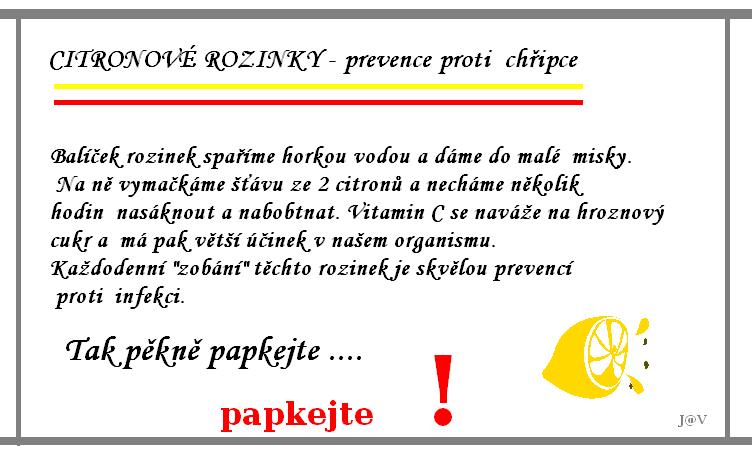 7 Citronové_rozinky. p.