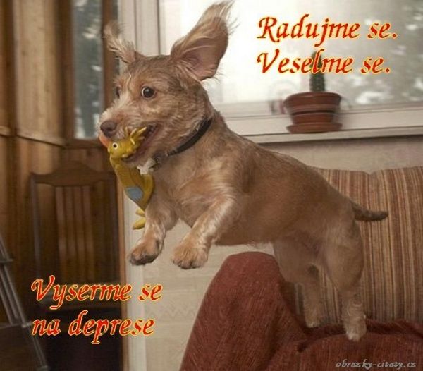 Heslo dňa. (Ž) 8,11..jpg